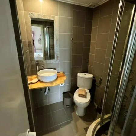 Dionisos 尼欧波洛伊